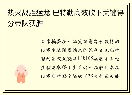 热火战胜猛龙 巴特勒高效砍下关键得分带队获胜